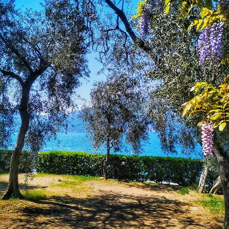Campsite Baldo Brenzone sul Garda
