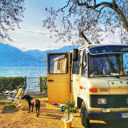 Baldo Camping *